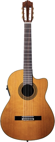 Acoustic Guitar